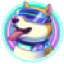SDOGE