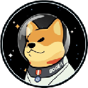 DOGE1