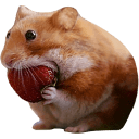 NOMNOM