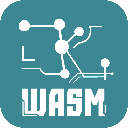 ZKWASM