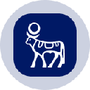 NVOON