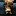 USDCAT