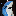 SHORK