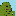 GROYPER