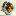 SPORE