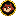 TANUKI