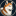 HACHI