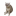 CASHCAT
